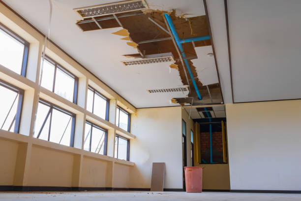 Best Flood restoration services  in Grand Island, NE