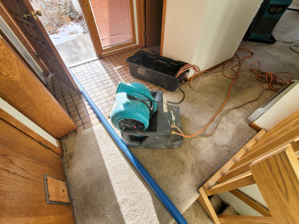 24/7 water damage repair in NE