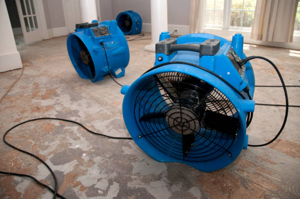 Best Commercial water damage restoration  in Grand Island, NE